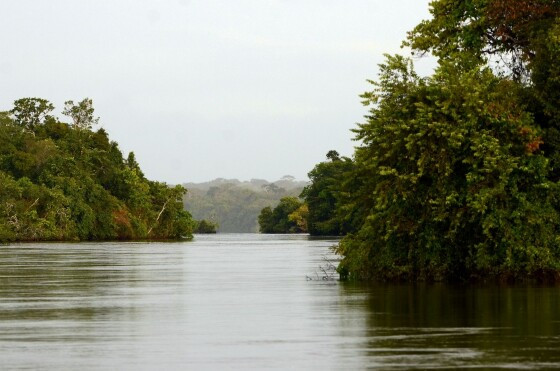 Rio Juruena 