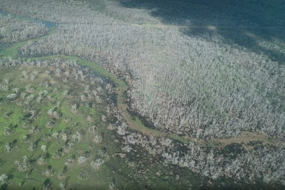 Pecuarista Pantanal Barão de Melgaço 