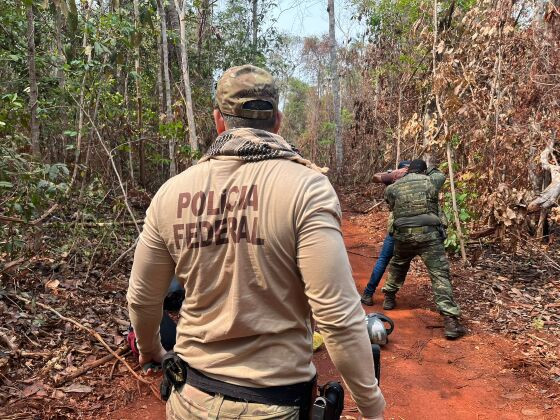 policia federal sararé