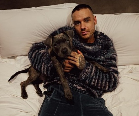 LIAM PAYNE E CACHORRO.jpg