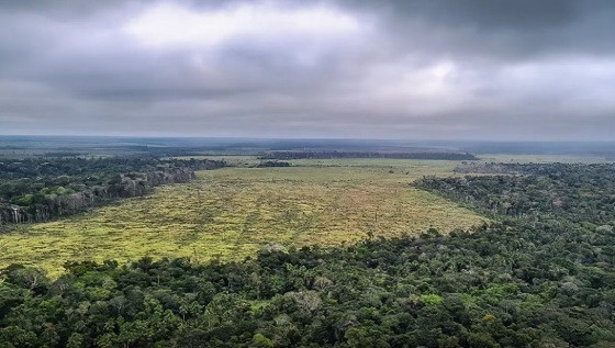 Amazônia