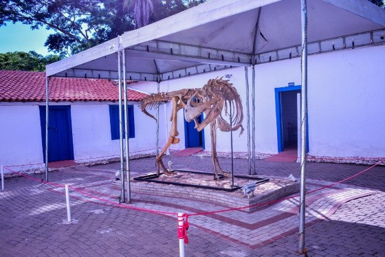 DINOSSAUROS MUSEU CUIABÁ.jpg