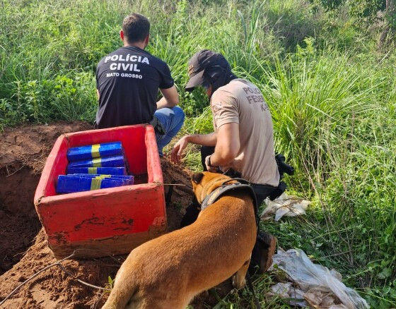 operação decretados