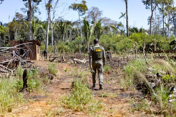 Operação Amazônia 