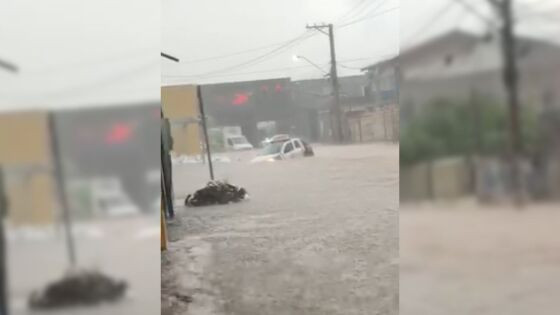 Alagamento chuva cuiabá 12/01/2024