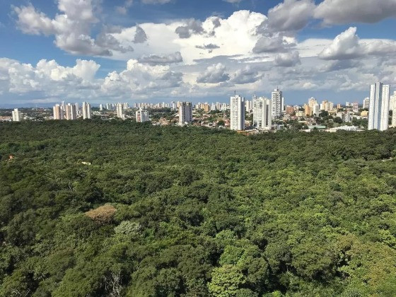 Cuiabá cidade verde