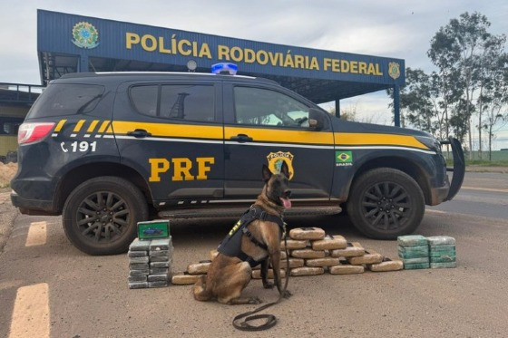 Apreensão de drogas