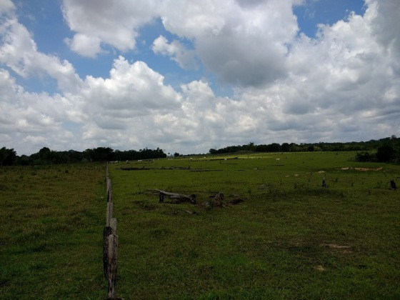 Fazenda
