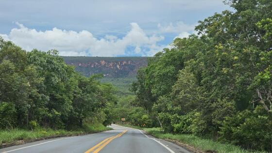 MT-251 Estrada para Chapada - foto Camilla Zeni SecomMT.jpeg