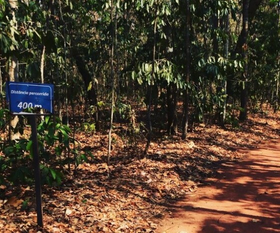 Horto Florestal Rondonópolis