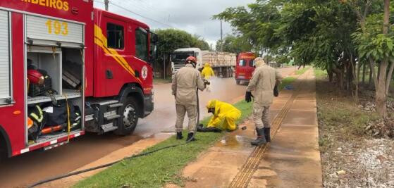 SALVAMENTO BOMBEIROS ATAQUE DE ABELHAS SINOP.jpg