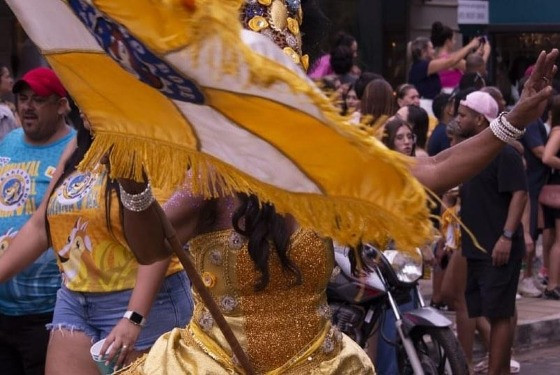 CARNAVAL DE RUA