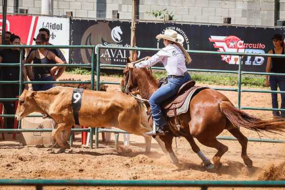 semana do cavalo