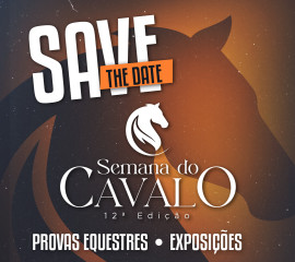 https://cdn.hnt.com.br/storage/webdisco/2025/03/21/capa/default/T1623P3/39df557b1529297d306bda8d469e8fa2.png