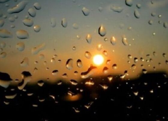 Sol e Chuva 