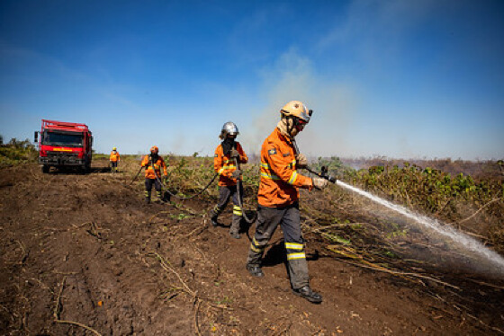 INCÊNDIO FLORESTAL