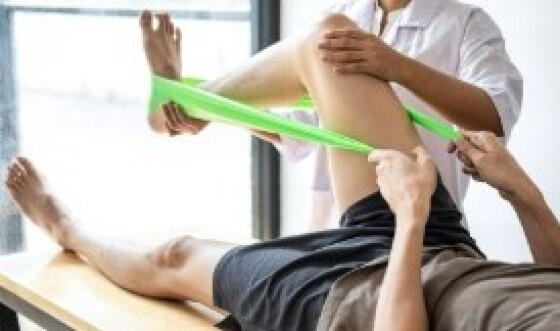 fisioterapia 
