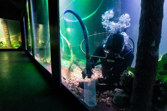 AQUARIO CUIABÁ
