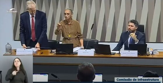 Marina Silva