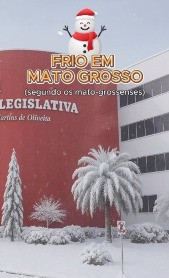 https://cdn.hnt.com.br/storage/webdisco/2025/05/28/370x278/5f2ba869d828a784b3e61a34c1f02feb.jpg