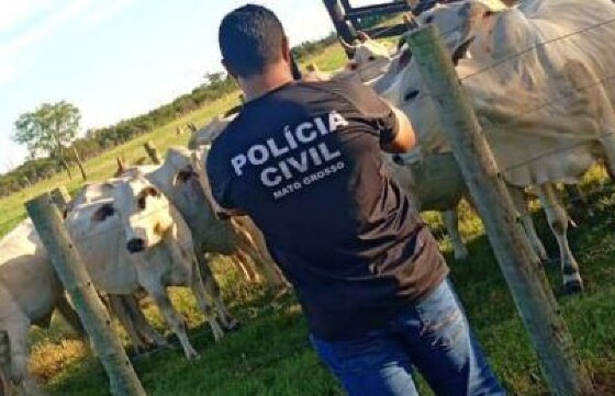 GADO PJC