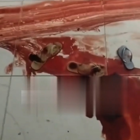 sangue.PNG