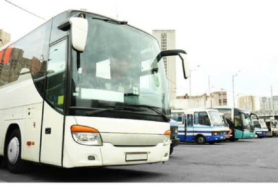 mpf ônibus