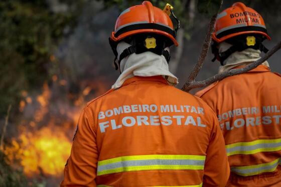 Bombeiros
