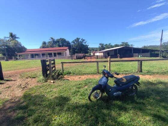 homicídio Rondonópolis  