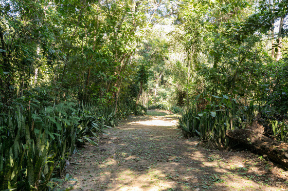 horto florestal cuiaba