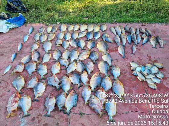 PESCADO PRESO.jpg