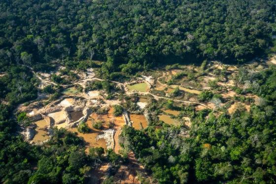 garimpo terra indigena sete de setembro