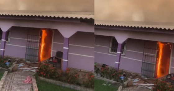 incendio criminoso alta floresta