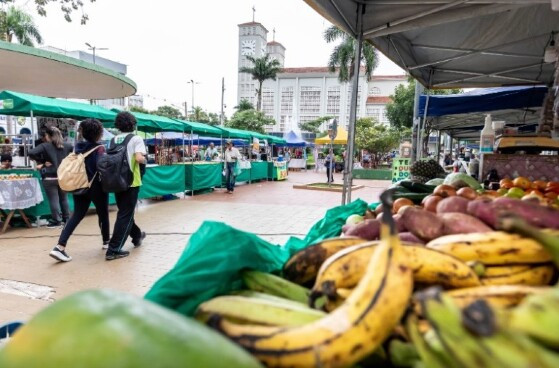 feira 