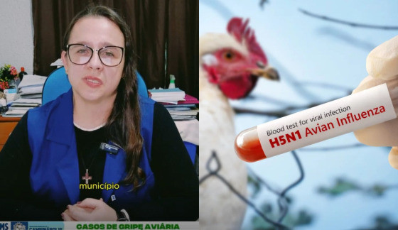 SEC CAMPINAPOLIS E GRIPE AVIARIA.JPG