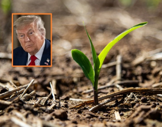 Agro Donald Trump