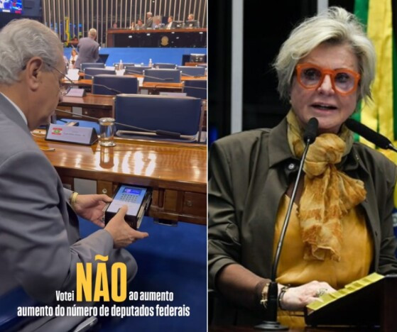 jayme margareth senadores