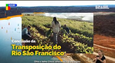 campanha nordeste