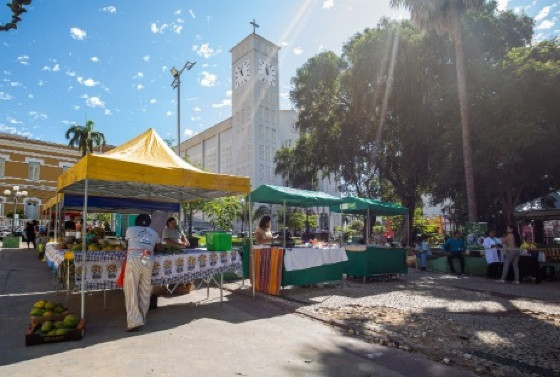 FEIRA NA PRAÇA REPÚBLICA