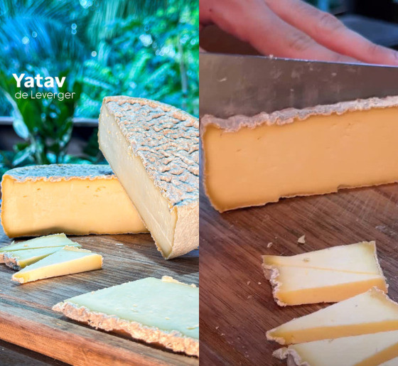 QUEIJO YATAV.JPG