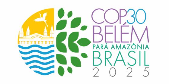 COP 30