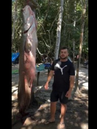 Vídeo mostra pescador com 