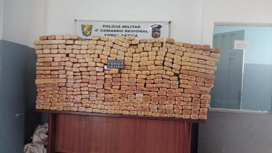 maconha.jpeg