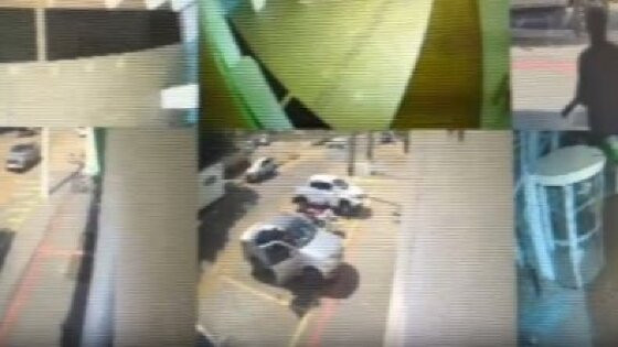 cameras.jpg