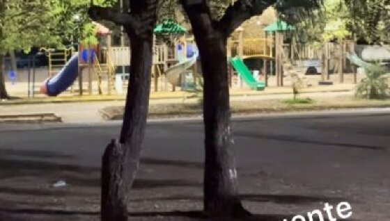 corpo localizado sinop.jpg