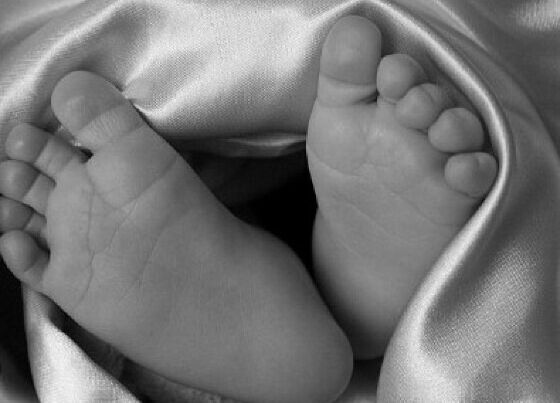pés de bebe.jpg