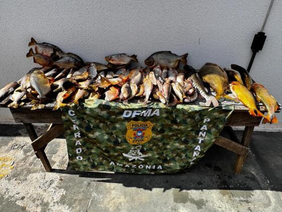 peixes 