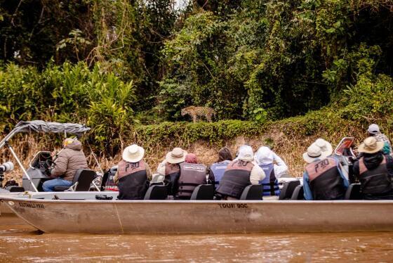 SAFARI PANTANAL
