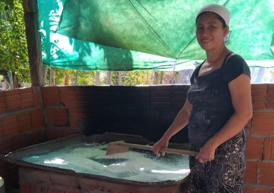 mulher agricultura familiar .jpg