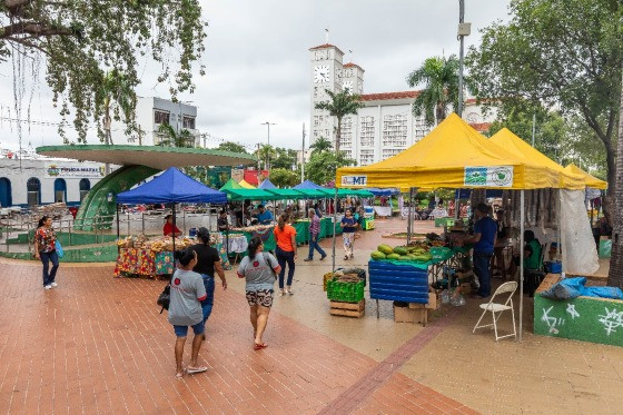 FEIRANTES CUIABA.jpg